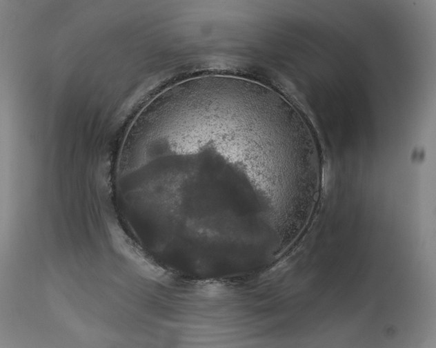 X0000112960249200908271124