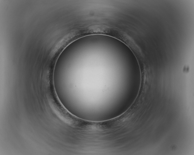 X0000112960250200908271124