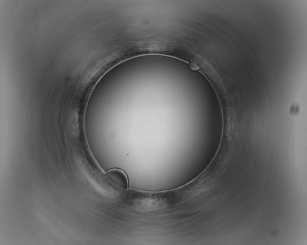 X0000112960251200908271124