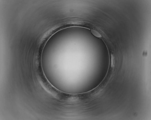 X0000112960252200908271124