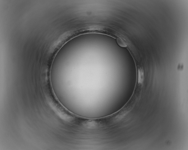 X0000112960253200908271124