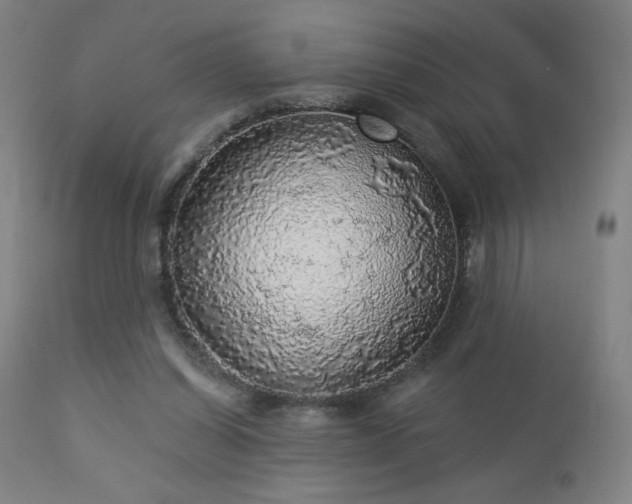 X0000112960254200908271124