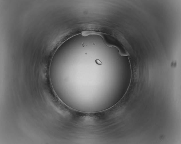 X0000112960255200908271124