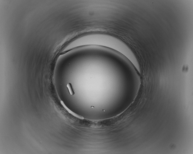 X0000112960256200908271124