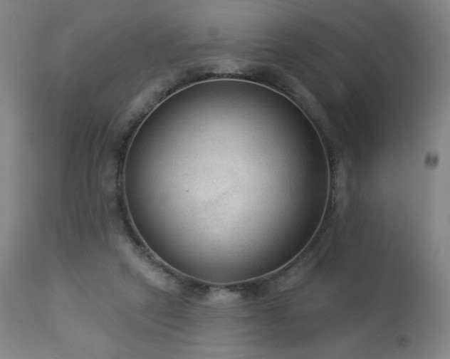 X0000112960257200908271124