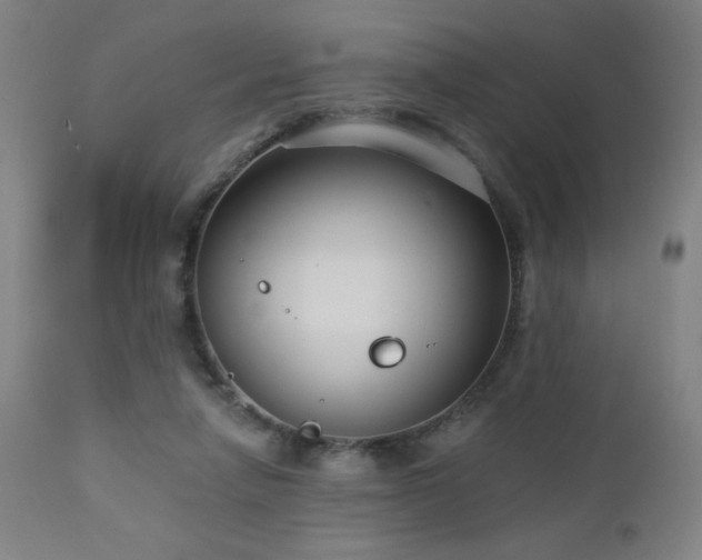 X0000112960258200908271124