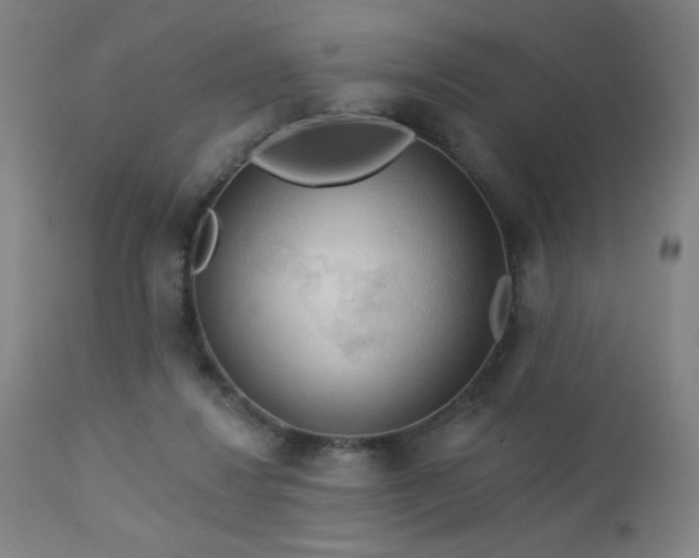 X0000112960260200908271124