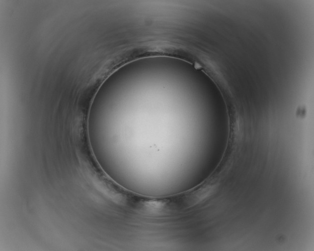 X0000112960265200908271124