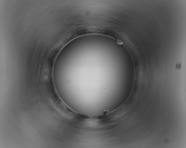 X0000112960266200908271124