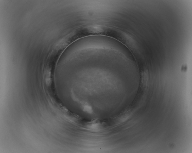 X0000112960267200908271124