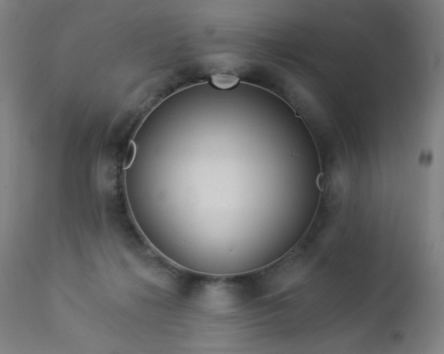 X0000112960268200908271124