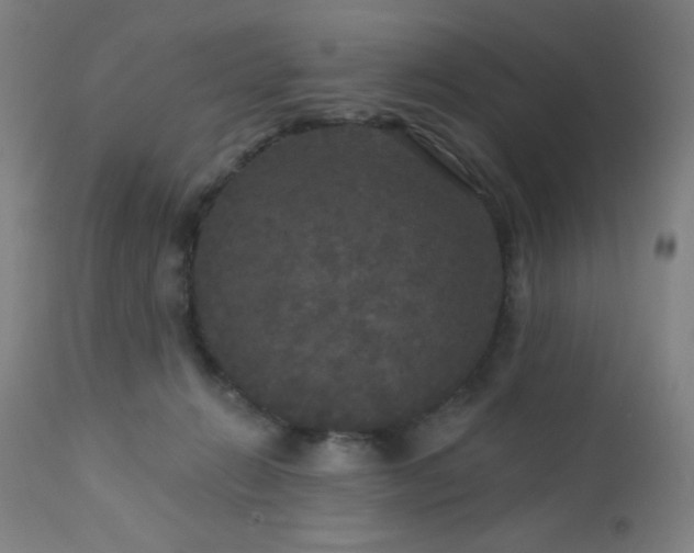 X0000112960270200908271124