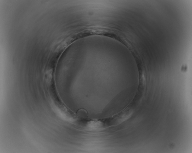 X0000112960271200908271124