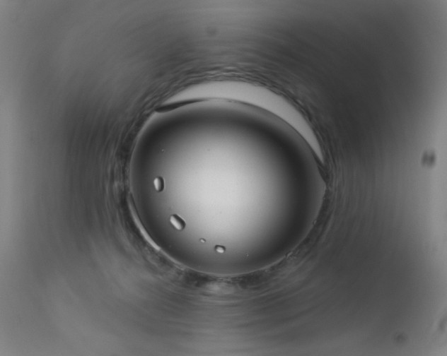 X0000112960272200908271124