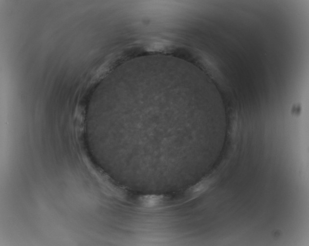 X0000112960273200908271124