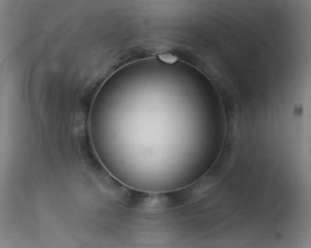 X0000112960274200908271124