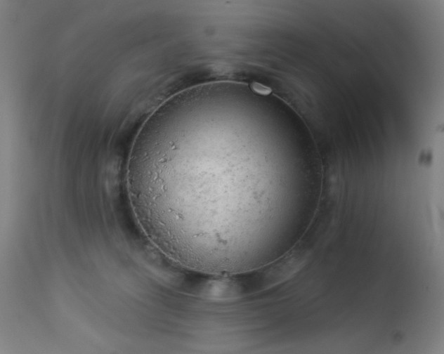 X0000112960275200908271124