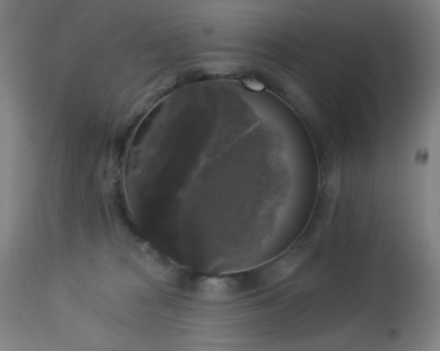 X0000112960277200908271124