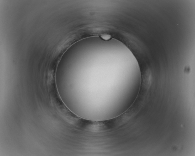 X0000112960278200908271124