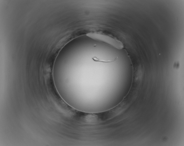 X0000112960279200908271124