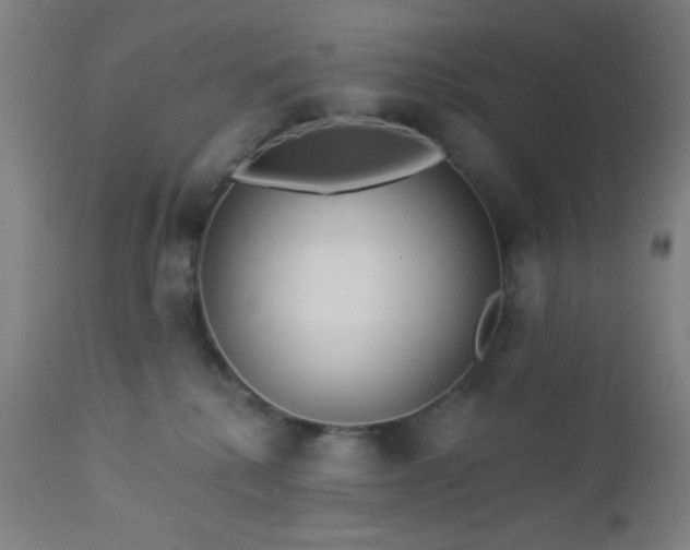 X0000112960280200908271124