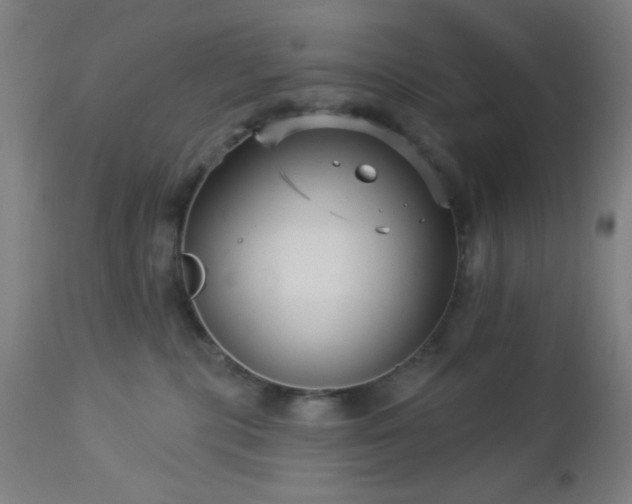 X0000112960283200908271124