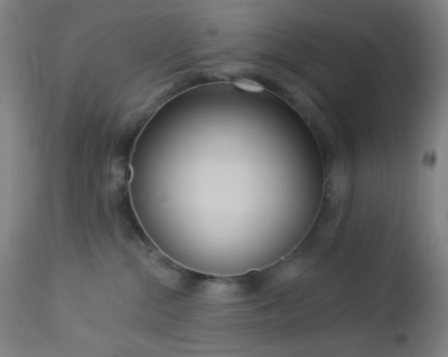 X0000112960284200908271124