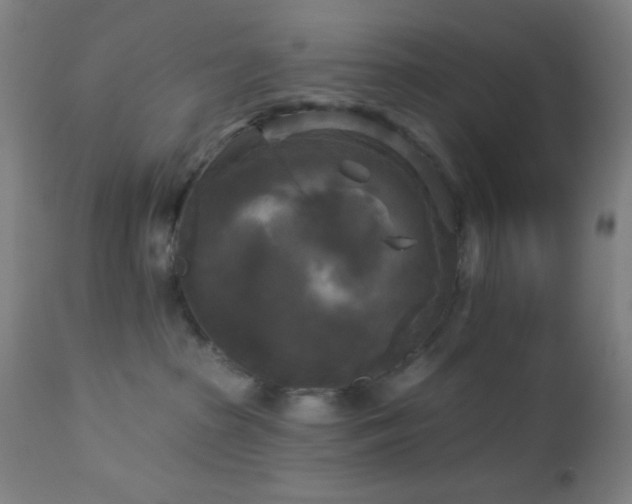 X0000112960285200908271124