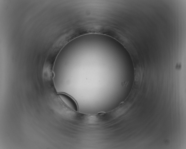 X0000112960287200908271125