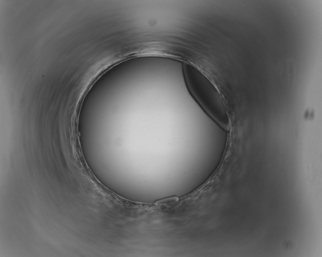 X0000112960289200908271124