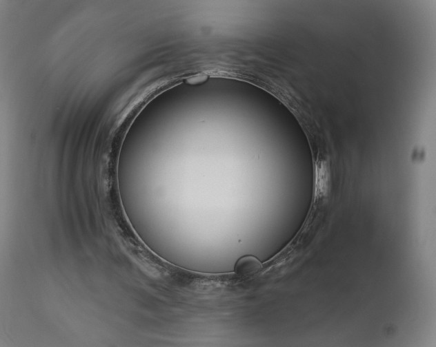 X0000112960291200908271124