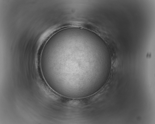 X0000112960294200908271123