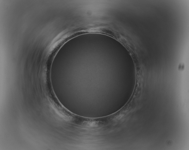 X0000112960295200908271123