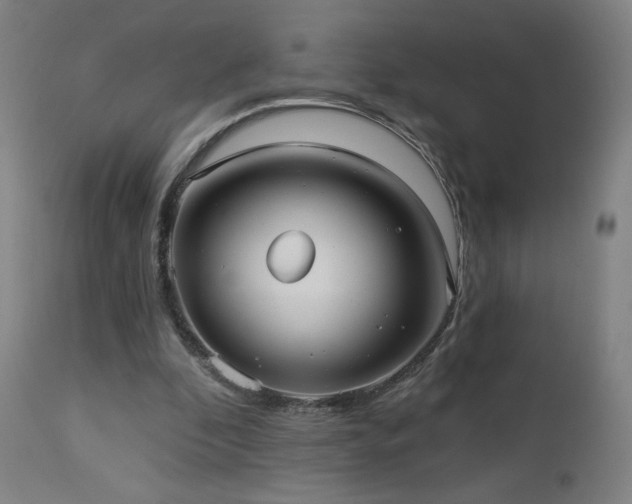 X0000112960296200908271123