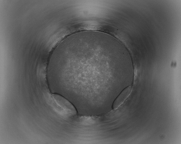 X0000112960297200908271123