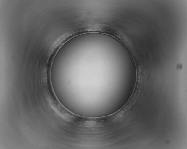 X0000112960298200908271123