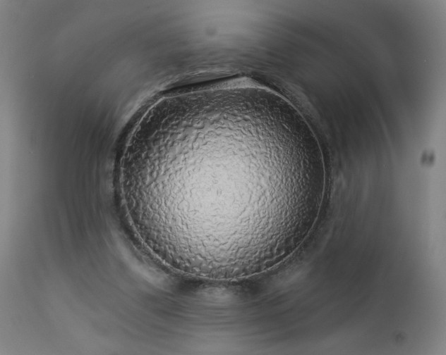 X0000112960299200908271123