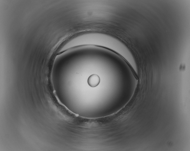 X0000112960300200908271123