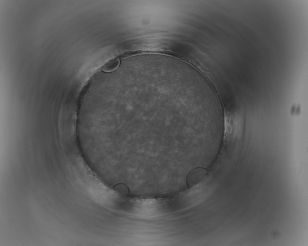 X0000112960301200908271123