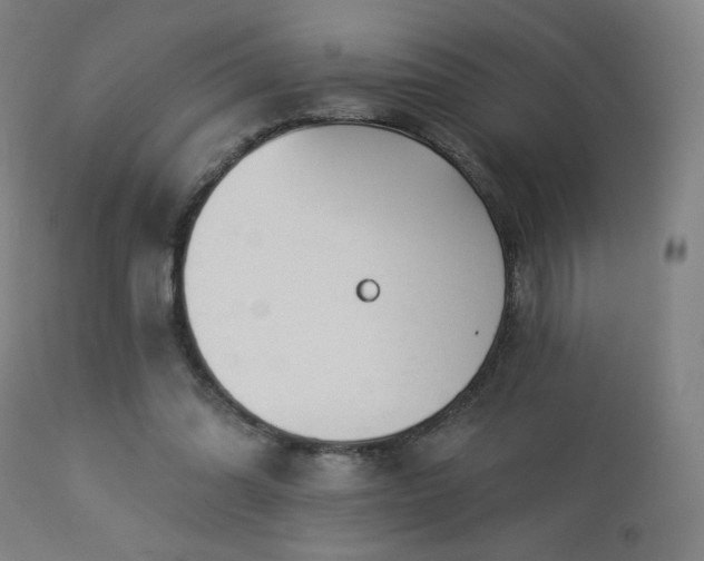 X0000112960302200908271123