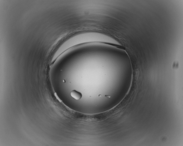 X0000112960304200908271123