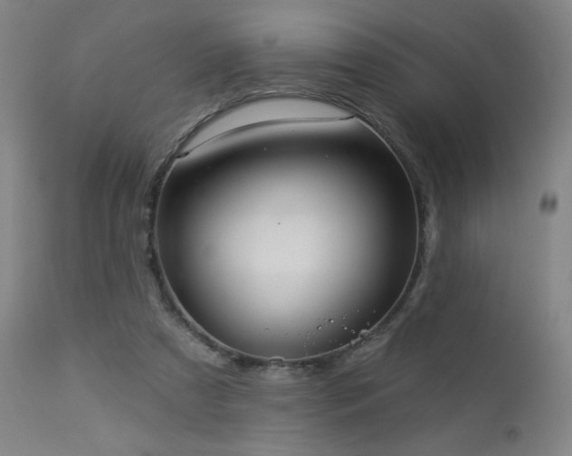 X0000112960305200908271123