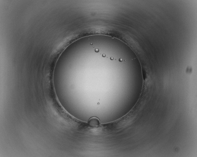 X0000112960306200908271123