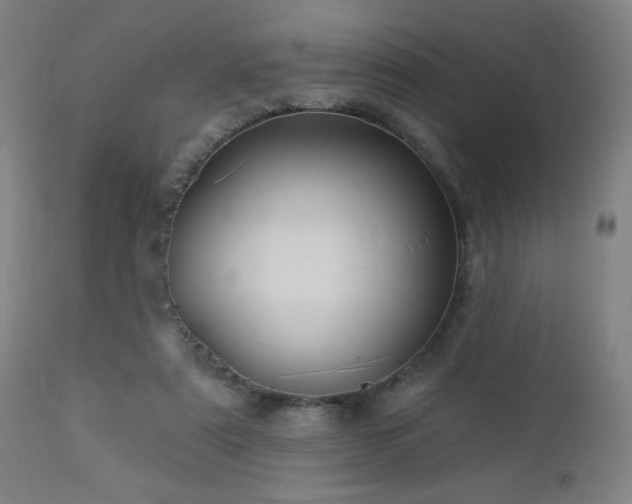 X0000112960307200908271123