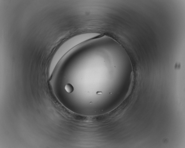 X0000112960308200908271123