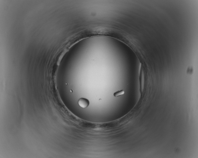 X0000112960312200908271123