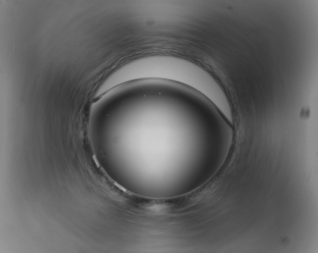 X0000112960313200908271123