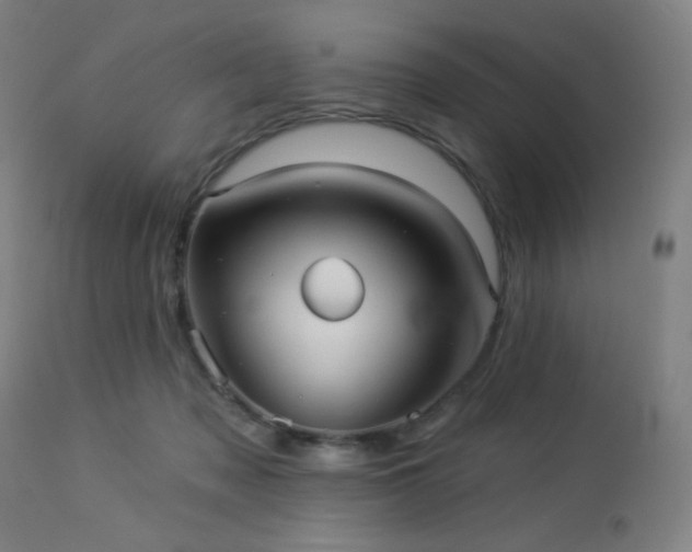 X0000112960317200908271123