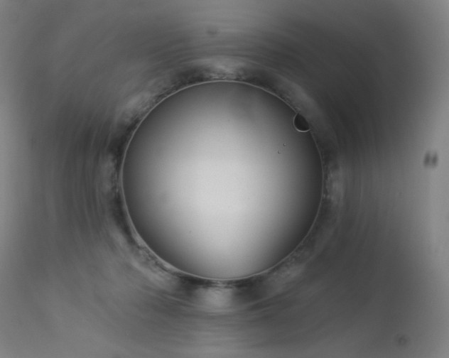 X0000112960318200908271123