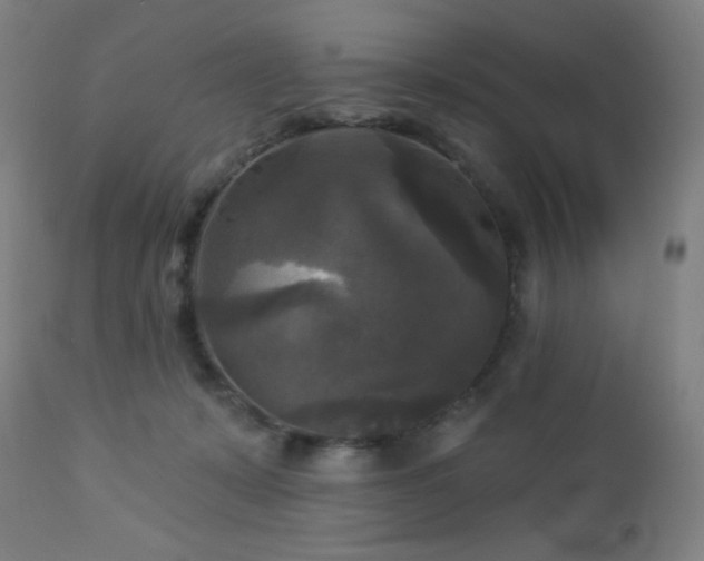 X0000112960319200908271123